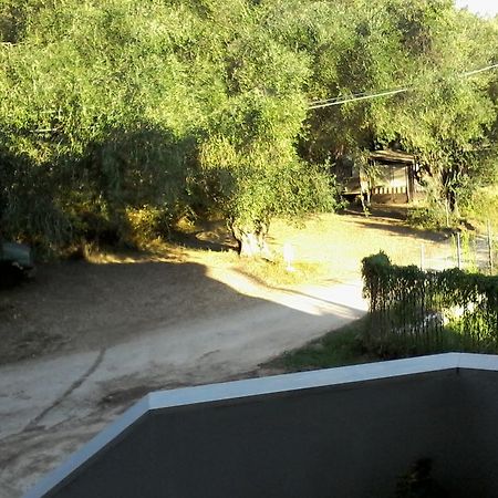 Afroditi Studios Sivota  Luaran gambar