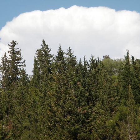 Afroditi Studios Sivota  Luaran gambar