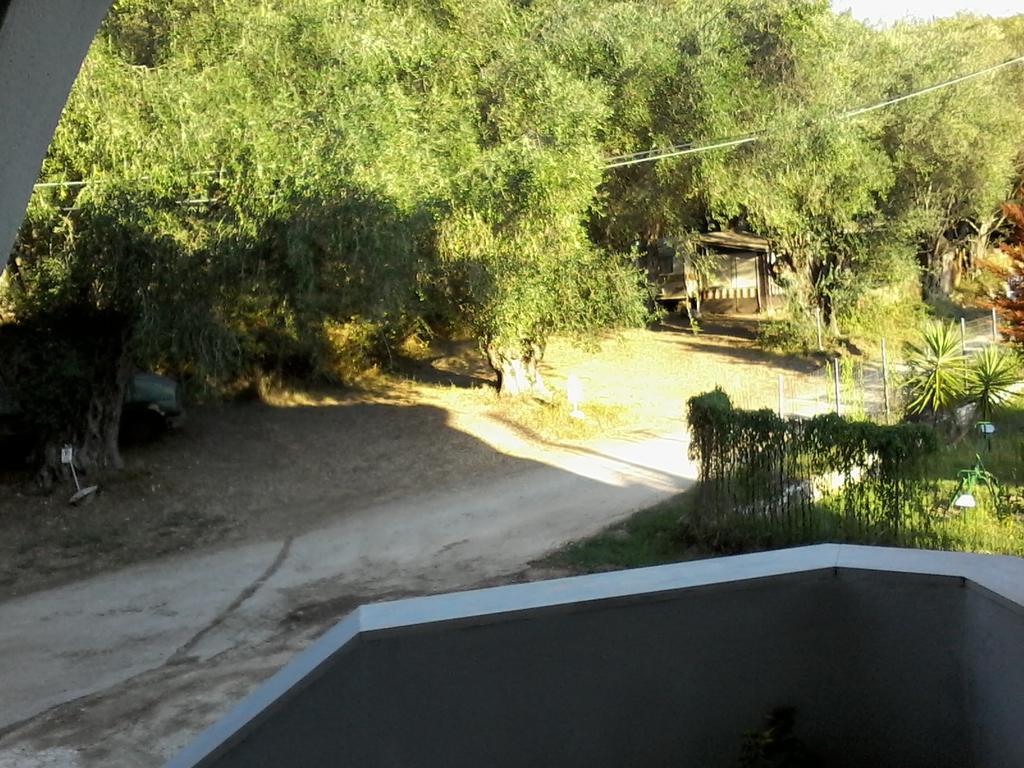 Afroditi Studios Sivota  Luaran gambar