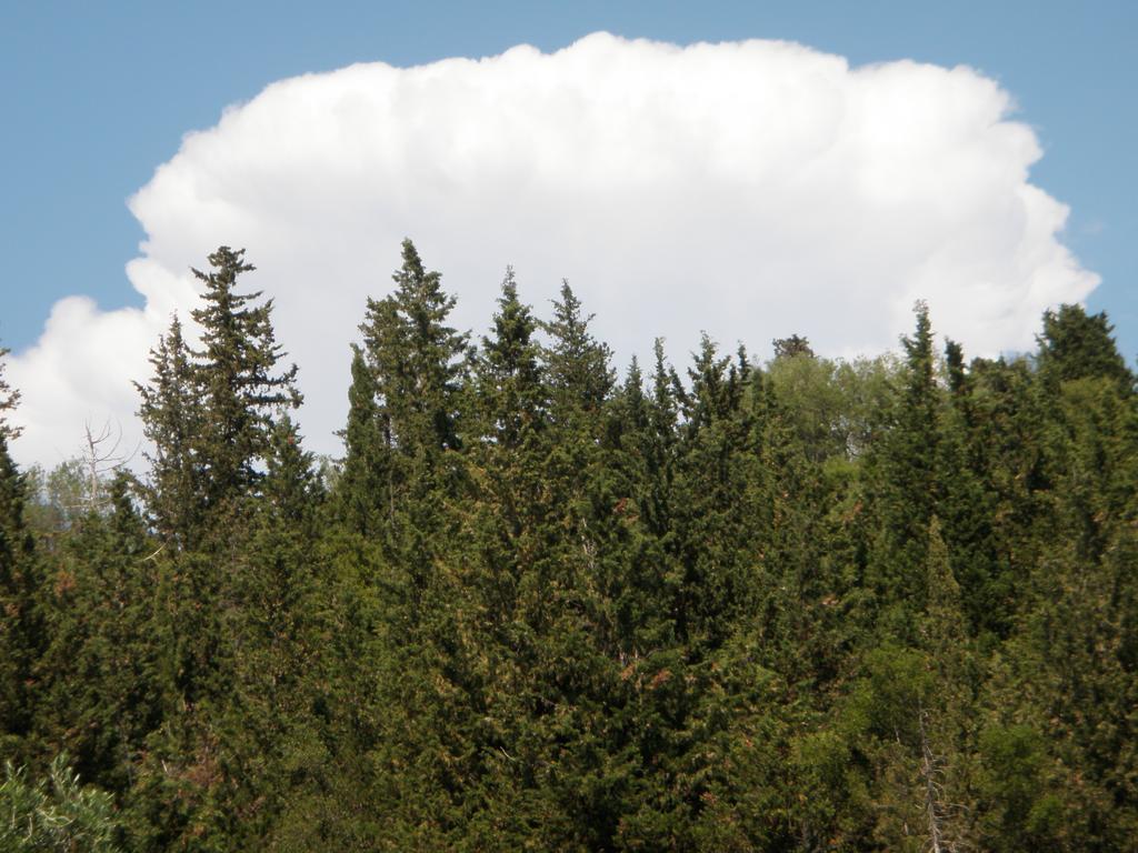 Afroditi Studios Sivota  Luaran gambar